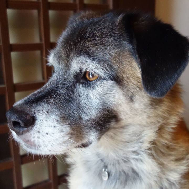 Fd3df477 5709 4f9b b98d 146f96e436eb 1646787234673