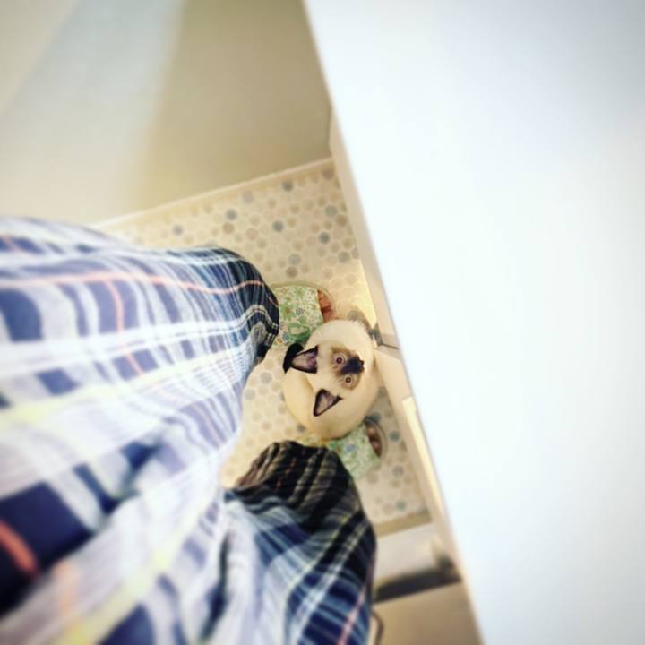 Fd3e03ff 4835 4b38 bf55 6e263a8b7c4d 1667820612603