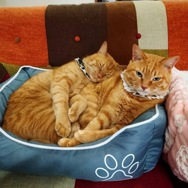 Fd3e0a3b 4786 4708 a970 9a880c320f50 1592819366999