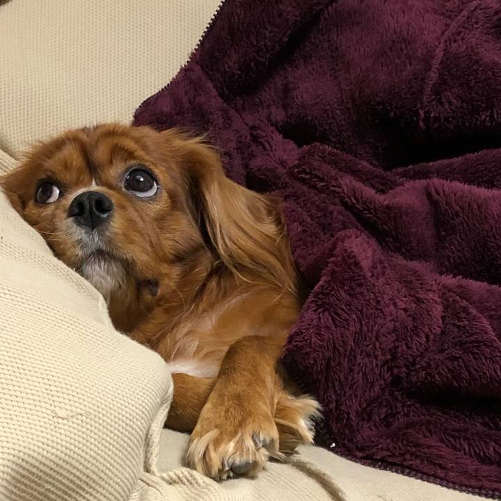 Fd3e397c a903 4b97 8c76 426eeb7eed6f 1573052695897