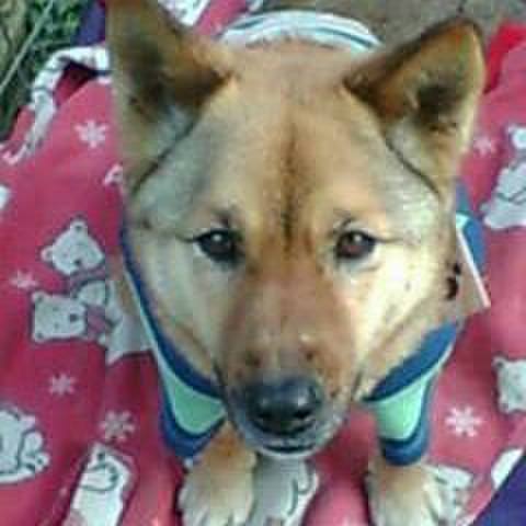 Fd3e45e2 46a0 4a1c a899 b5d19884437b 1567005430253