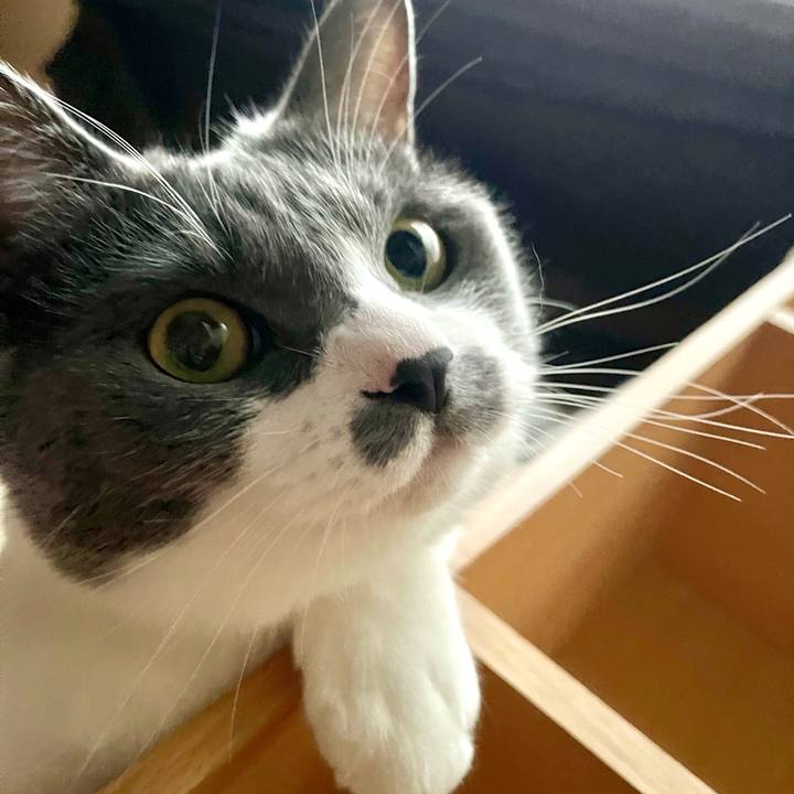 Fd3e466f 0cda 4498 9880 f6f917e62f6c 1657717566548