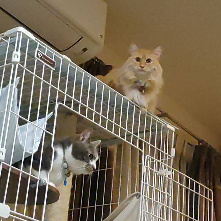 Fd3e5a2a 3302 4189 b29d 16195848cd17 1686574701600