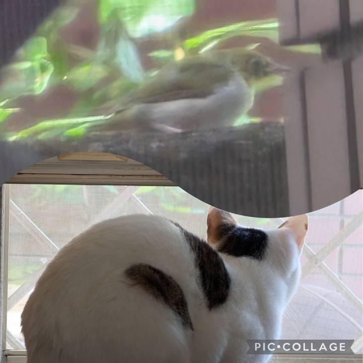 Fd3e5ef6 71c3 4b83 9ea5 9ded36403427 1746585045945