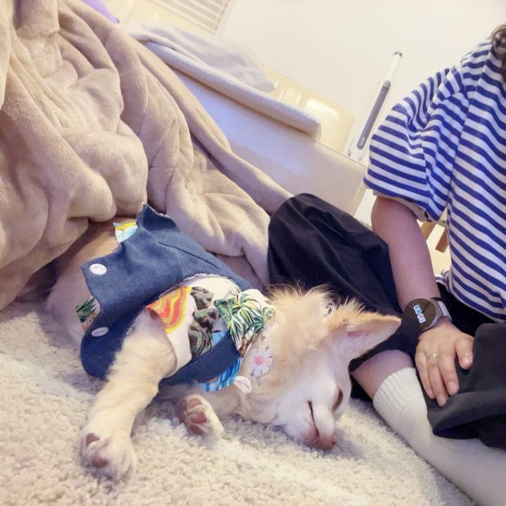 Fd3e839c b535 46ed 948c 3fb99599af91 1752406994198