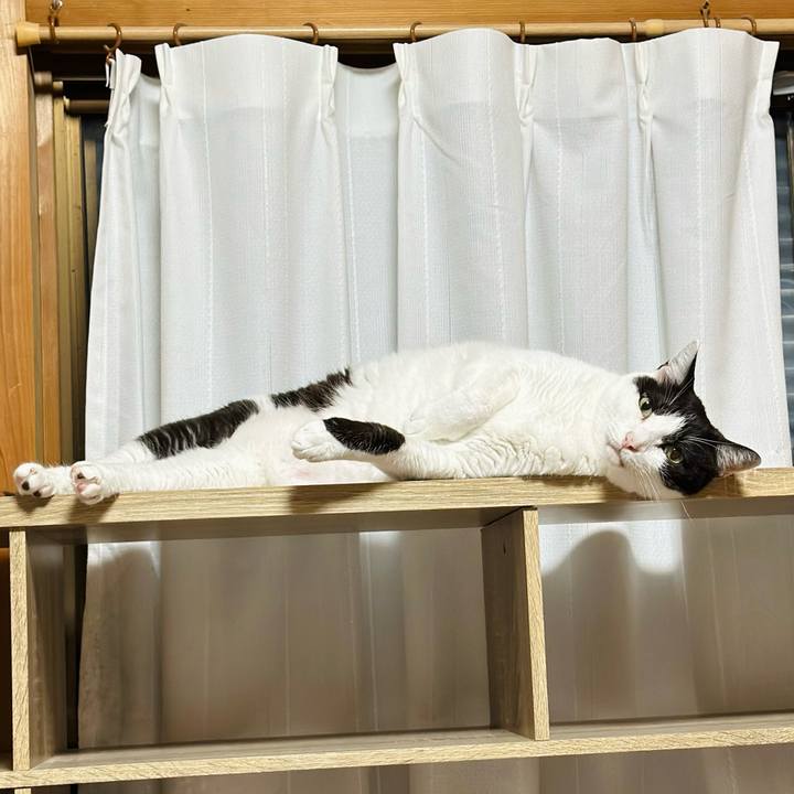 Fd3e88db e812 4072 840d 73f8b5524aa4 1696987188038