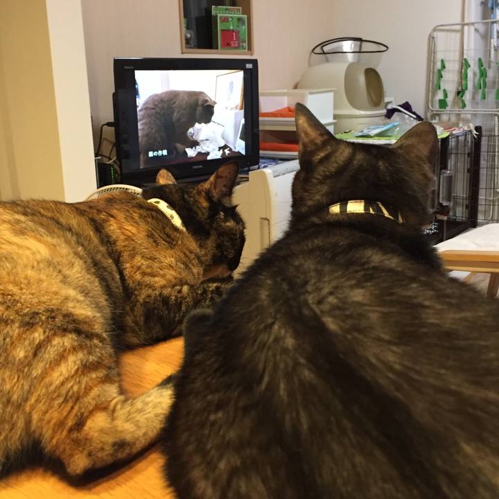 Fd3e8ab3 8d02 4753 bbb8 651c65e69703 1531270340765