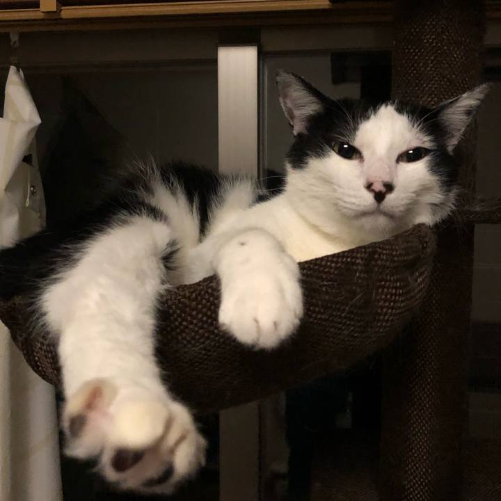 Fd3ea440 d74b 4307 aad4 9bac85ef23af 1562427119623