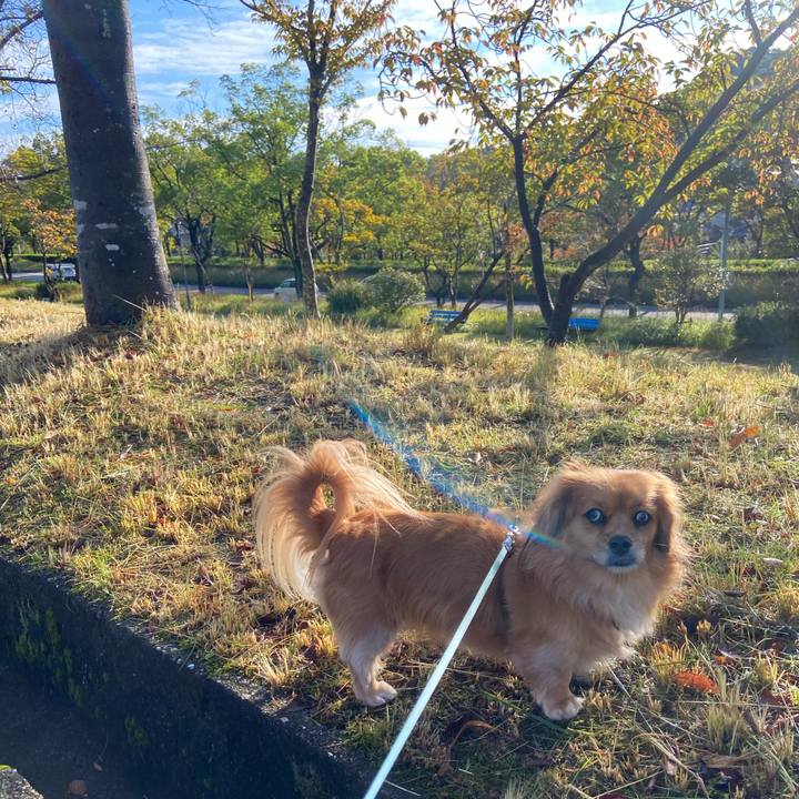 Fd3eb029 2710 41e6 b80a 7c41cf90dc85 1602978812861