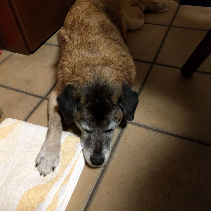 Fd3ec6a8 2aa1 4abb 86d7 7488d19832d7 1515158977375