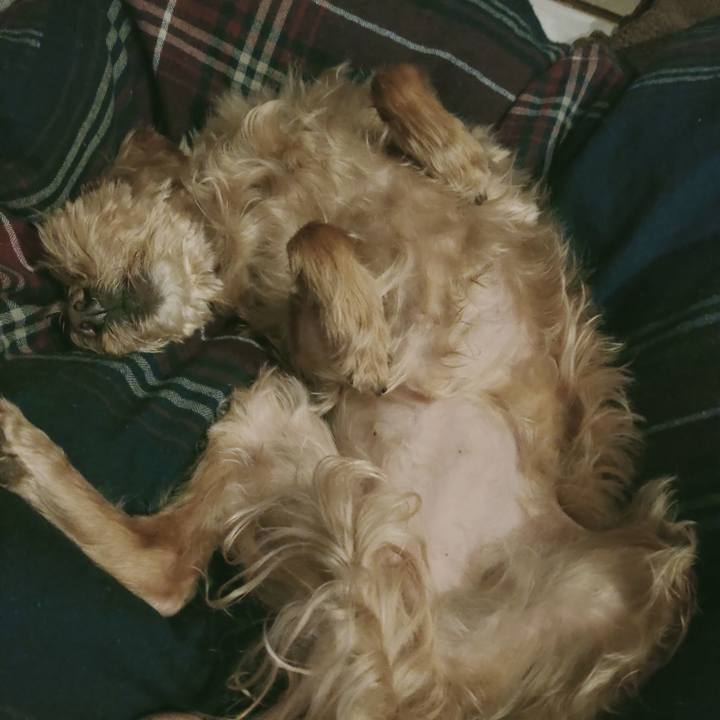 Fd3ed2ad 4d2f 48f3 b60c e26ce9c85fc0 1612185919487