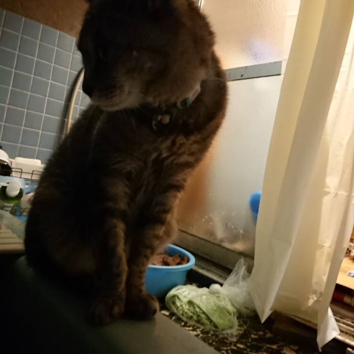 Fd3efbd3 8328 45b5 be5e a5d7500b36a9 1563879677559