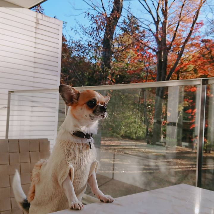 Fd3f14ca 2fb8 4fc7 a534 c628fae723af 1573984216851