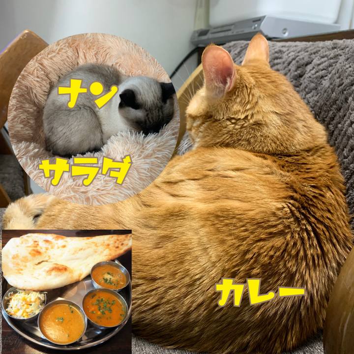 Fd3f31df d377 465b 92a3 3e3d0f63a78b 1611007036398