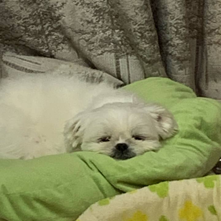 Fd3f59ec b245 4a3e 9091 077aa1f2aa30 1636668690979