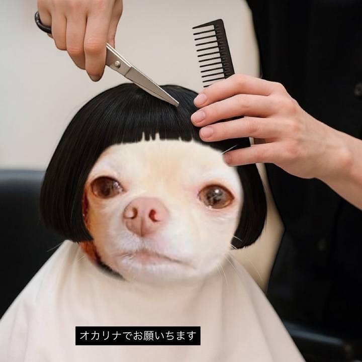 Fd3f6201 a253 48ea 9454 c4399e565695 1762603722902