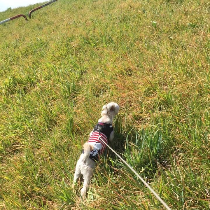 Fd3f67ec fc11 4c1b 8543 f82480dc7b63 1520149855891