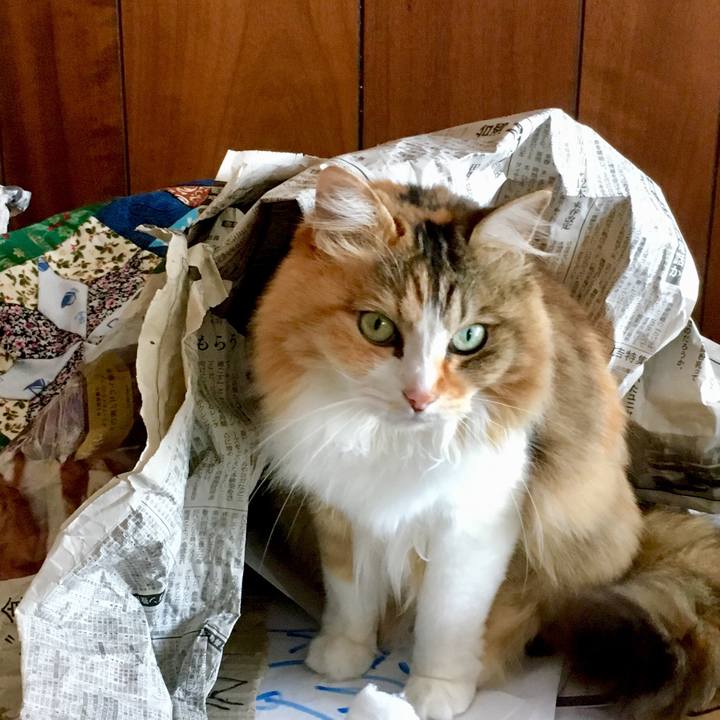 Fd3f7311 d931 4cd0 98b0 b7bbe0e03beb 1557783889836