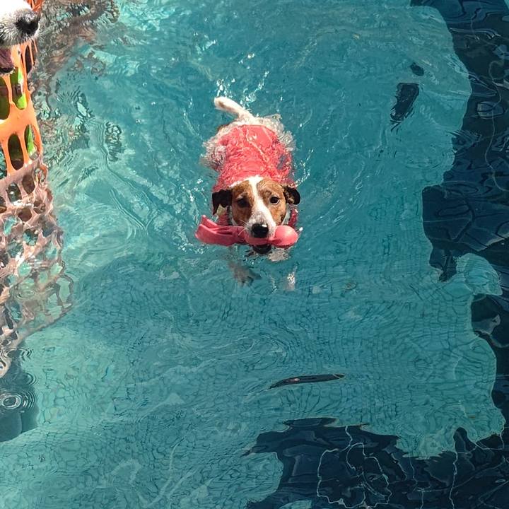 Fd3f8916 5652 4164 a90e 46580157653f 1693102952662