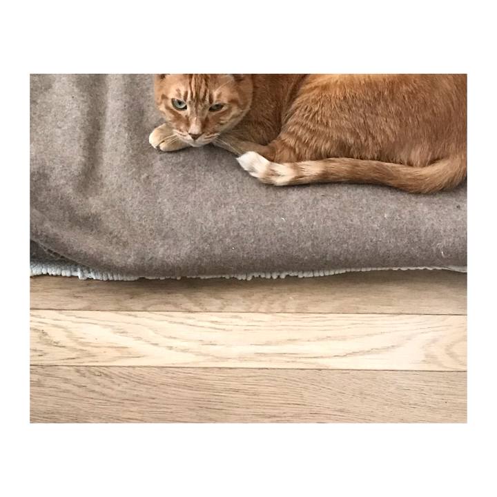 Fd3fcb35 40eb 45d8 84f0 3493ef45adcf 1649227102264