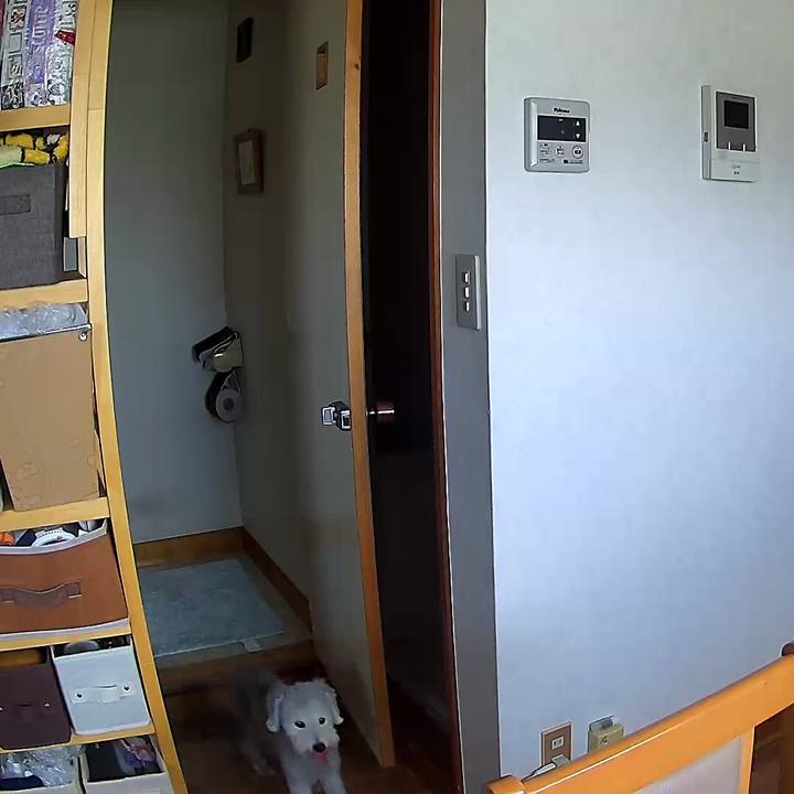 Fd3fcded 688b 4ddc 92d4 b878cc1faab1 1568253055109