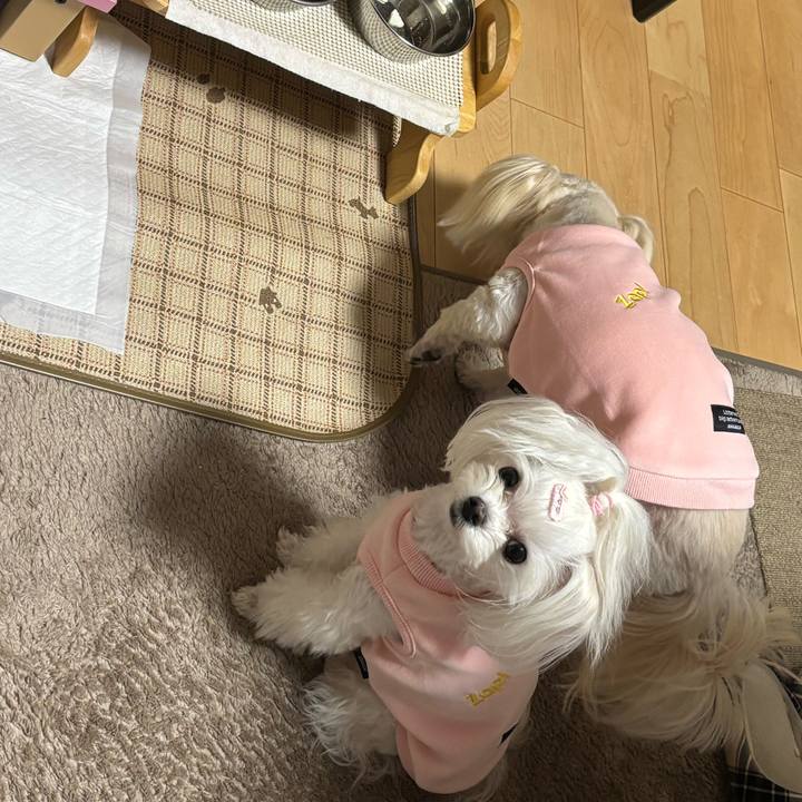 Fd3fda16 2c70 4722 8422 1a9c8b988173 1770197107877