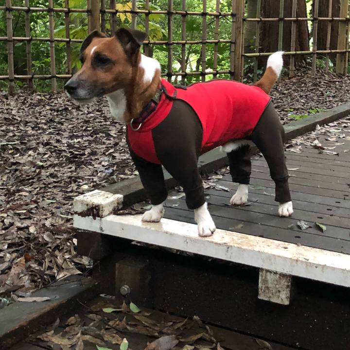 Fd3fde27 661c 4578 85fe 3010f75134d8 1529103670091