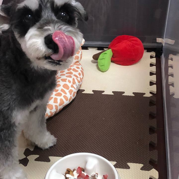 Fd407223 cc45 4746 9c4c c2253bce8881 1621334067566