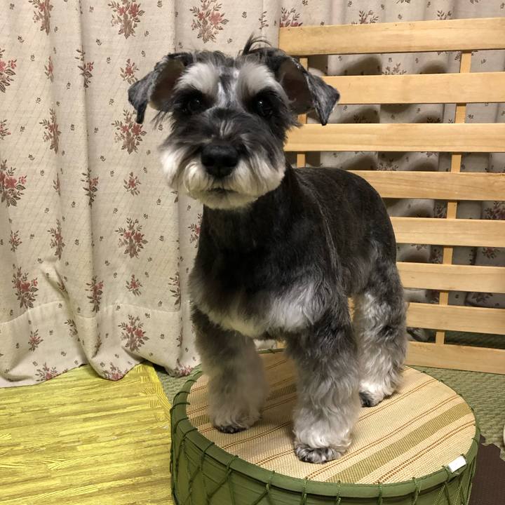 Fd4083ed f682 4afc 9759 f82fd51881e2 1708520984457