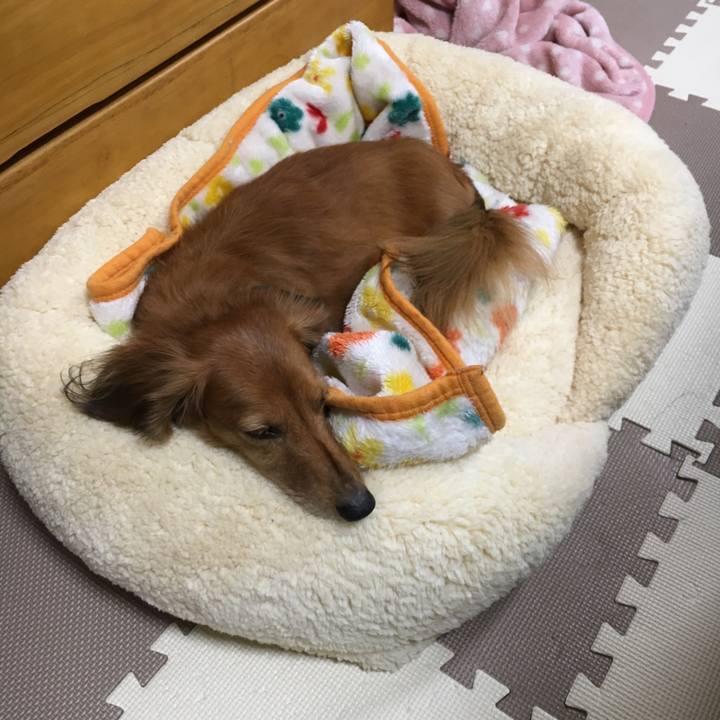 Fd4088c5 1d2c 4aca 98ed 8d952f8b7eba 1542976182643