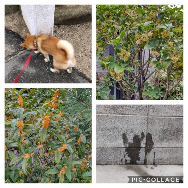 Fd409356 989a 4dbe 9b26 e9a356250f80 1665993641248