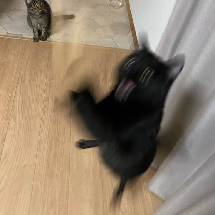 Fd40d74b 24bd 4b31 8b83 b86ab3670e67 1620474050439