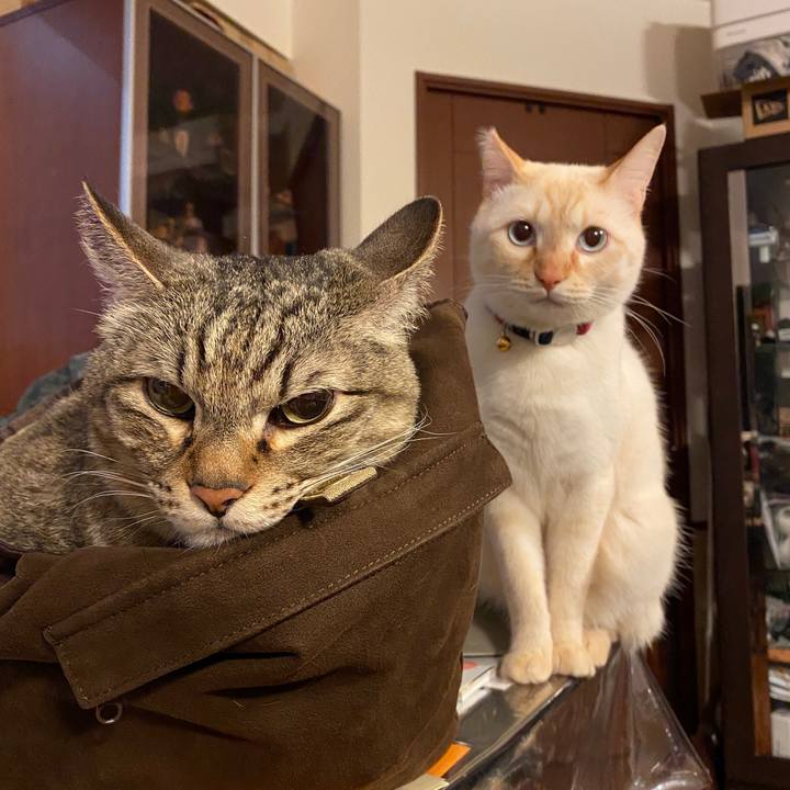 Fd40fba9 e764 42cf 9574 fb3e1a1fed04 1615693801273