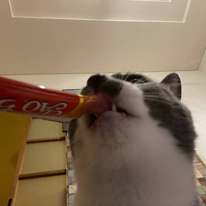 Fd410d71 95ed 47f5 81b5 ac6e470c8fed 1629711725164