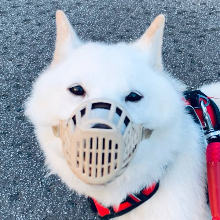 Fd41179a 24bf 4749 a82a 9cb626a544ab 1656276617095