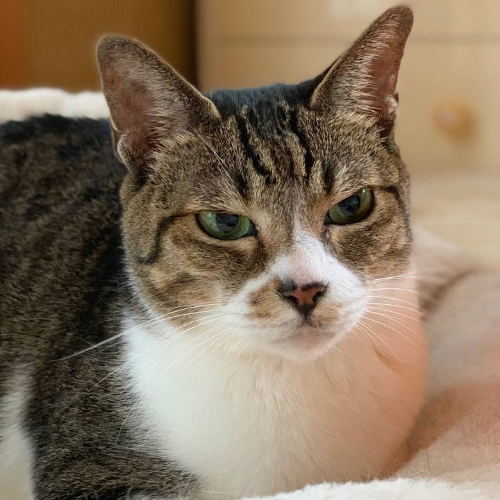 Fd411930 3aa6 4848 b2c9 a2d0df29df0d 1570843421295