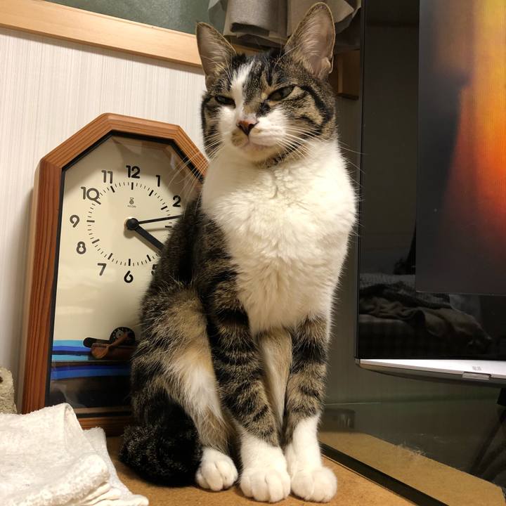 Fd412be0 3360 48b4 ab4f 6f44204712d8 1516193142303