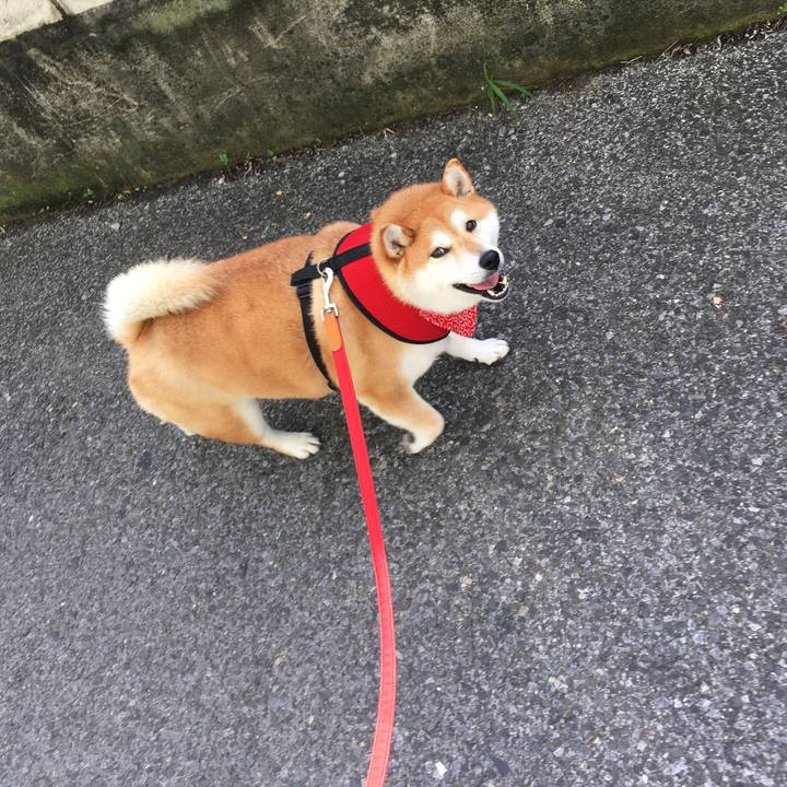 Fd412e83 a0d3 4f8e ae45 1c8821a5f3de 1593904871482