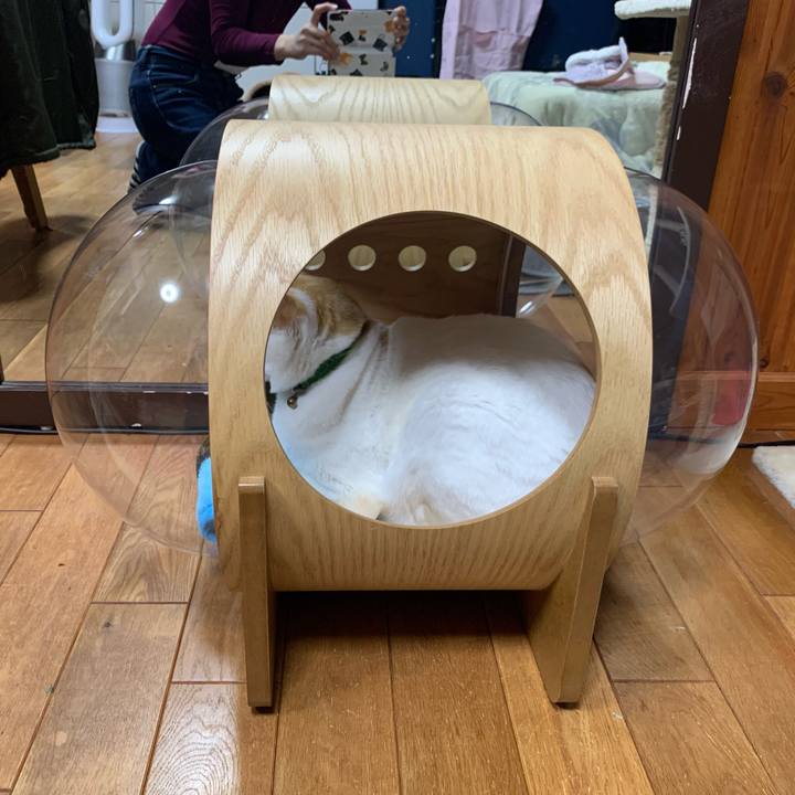 Fd418d6f 132b 4640 8924 3e9731d7c5b2 1580987272044