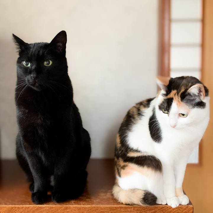 Fd418ecc 0076 4841 9581 30bcf61a2e7d 1591320432141