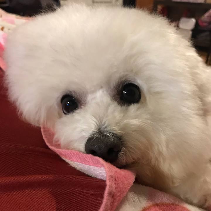 Fd41b273 efe9 46ae 9cdc a0885ac717f7 1577627464641