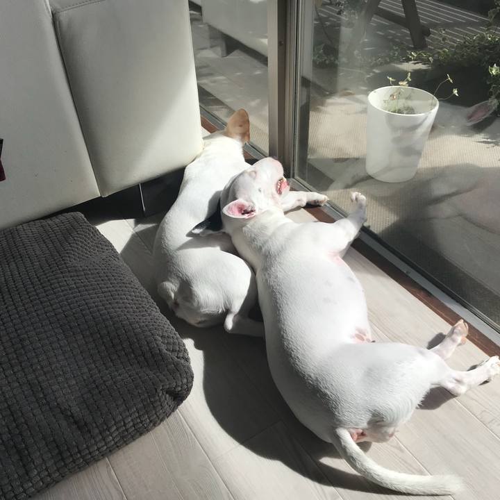 Fd41cc8d 9faf 432a 89b4 e5bcb458797f 1537331950699