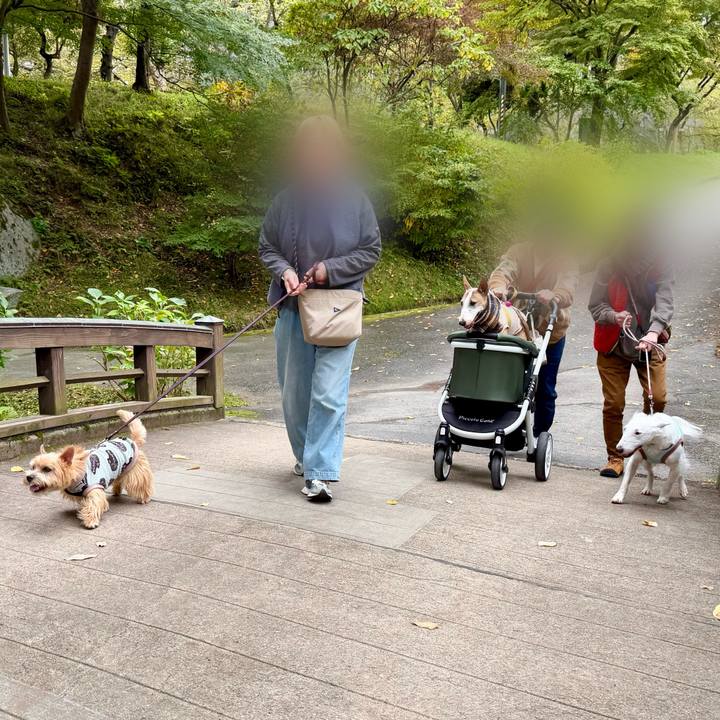 Fd41ef38 eaef 48c8 9219 48bedc564e75 1761397378863