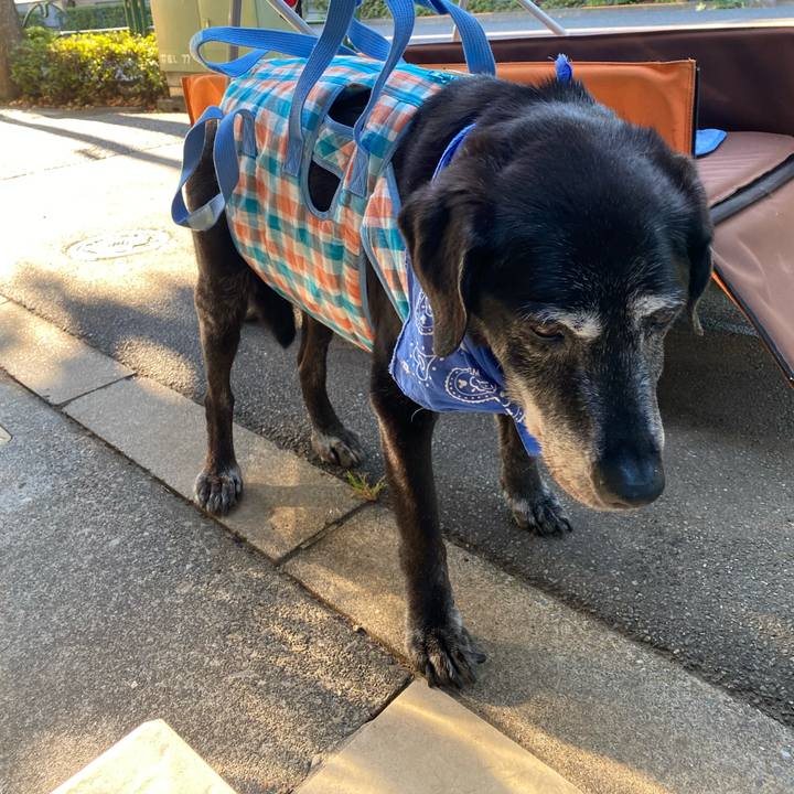 Fd420700 8980 469e bdcd 3c9d6bf38d91 1753772007104