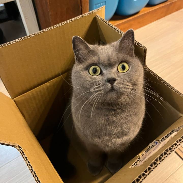 Fd4244e4 114e 4ba2 bde4 e1223a144694 1642419680406