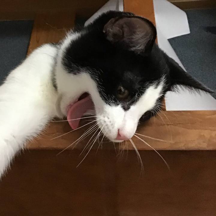 Fd427272 2bd5 4530 915e 89cfff2392b4 1631695271340