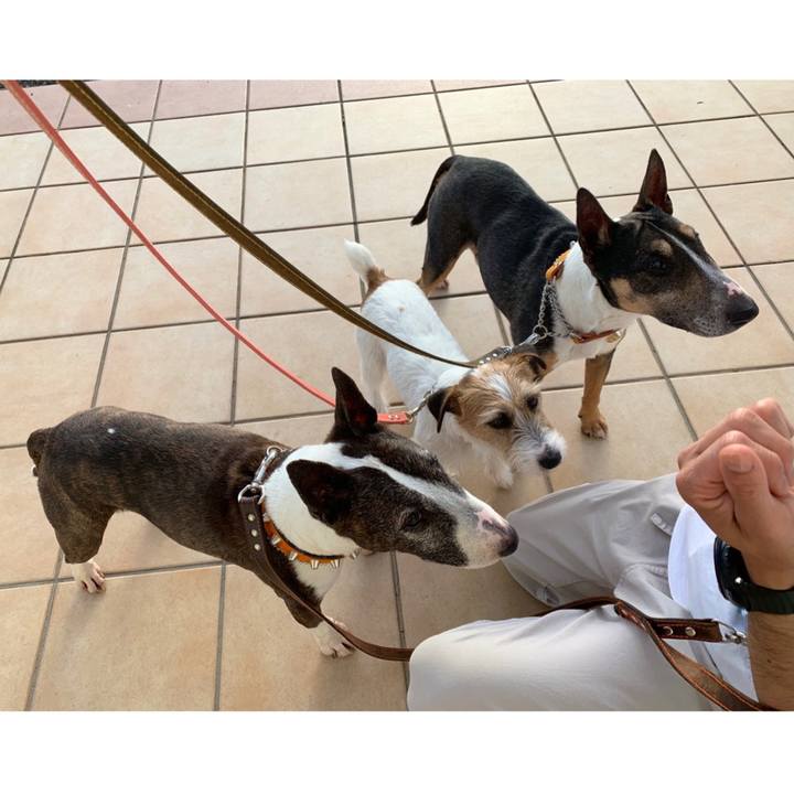 Fd427aad 6f62 4716 85b6 af044c11cdf9 1590326149438