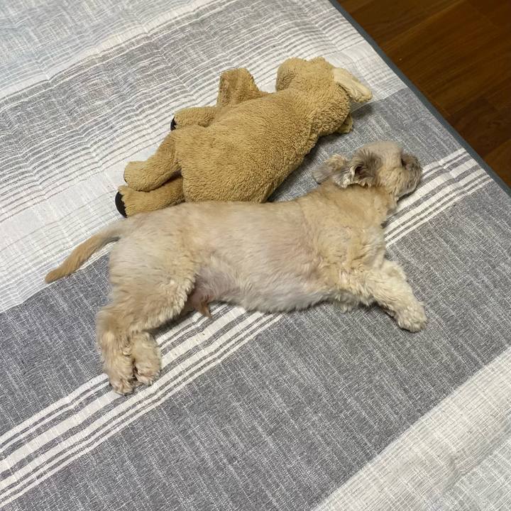 Fd4285c6 3869 4ad3 ae4e da20f6c1078f 1717159947572