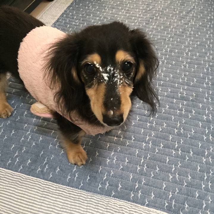 Fd428976 f565 4431 99a6 505fe21a3d45 1572476499806