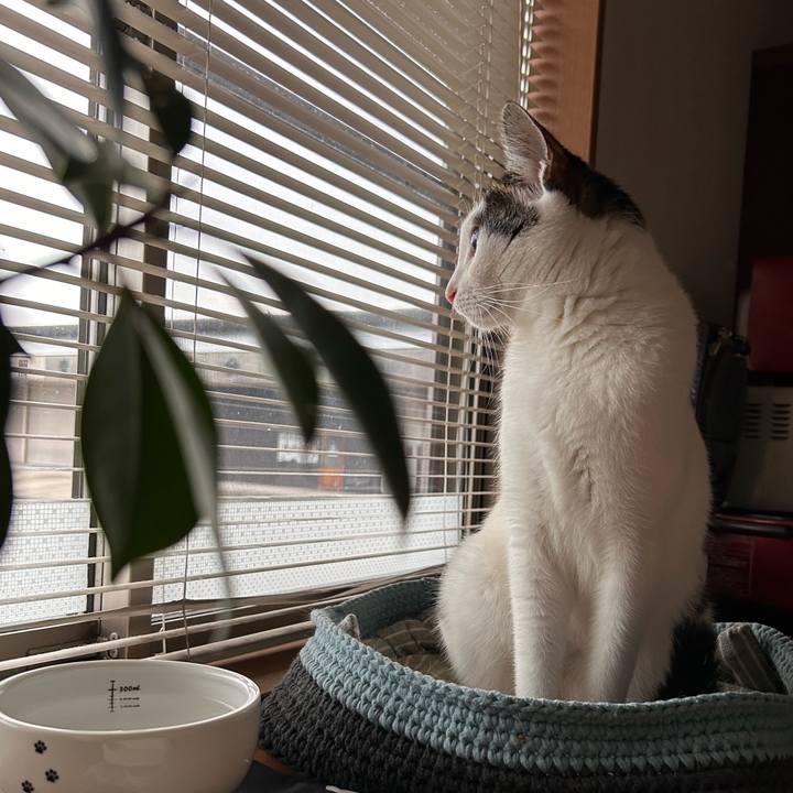 Fd429d53 b81f 4b0b 8521 ee18a0e6c191 1754774789789